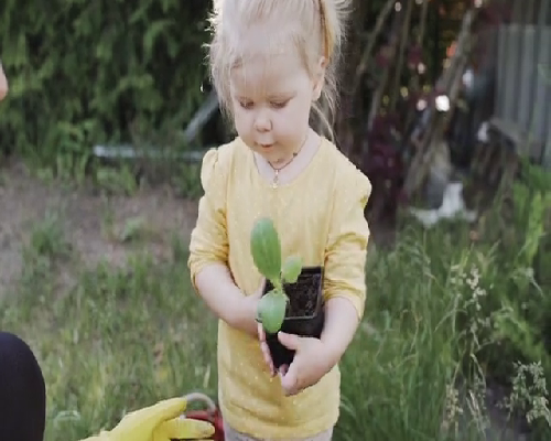 沈阳靠谱代生中心,沈阳盛京医院试管怎么样？什么样的试管婴儿才算成功