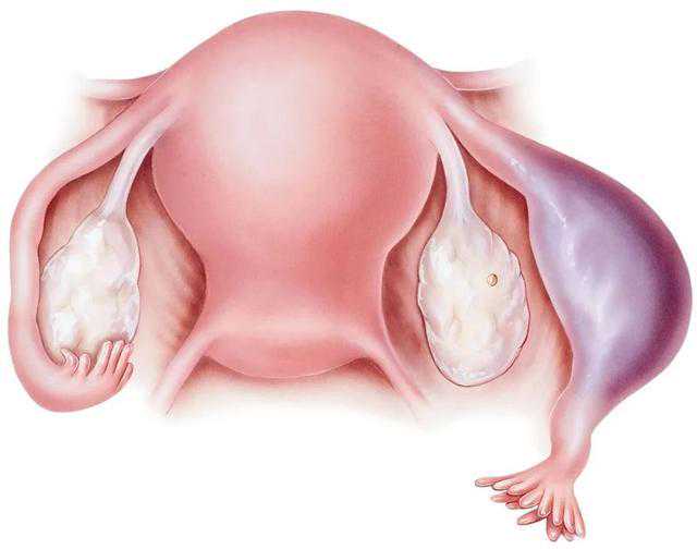 aa69助孕_一次代生费,北京试管助孕公司排名榜前十名是哪些？_移植12天测白板成