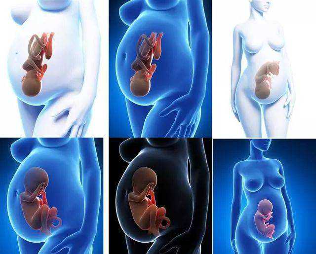 沈阳代生包出生,科普：马来西亚试管婴儿整个流程所需时间不止28天_上海供卵