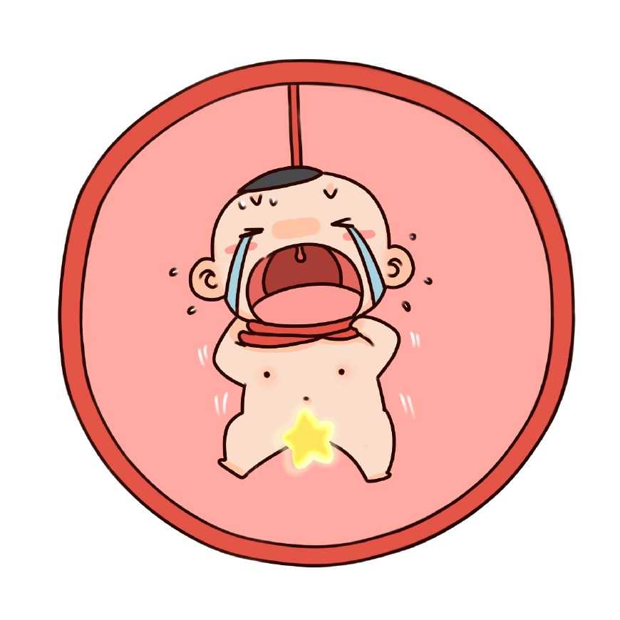 专业供卵_aa69公司在哪,天津市中心医院做试管的卵子冷冻费用是多少？_上海供