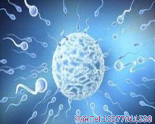 代生费用为多少_代生包生女儿吗|捐卵试管南宁、桂林、广西柳州哪里有供卵试