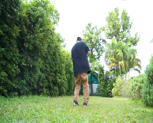 备孕期间的营养必备：海带，备孕夫妇是否应该增加其摄入量？