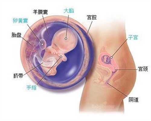 沈阳代孕去哪里做_沈阳哪里可以找代孕的_柬埔寨3代试管_孕期怎样补钙比较好