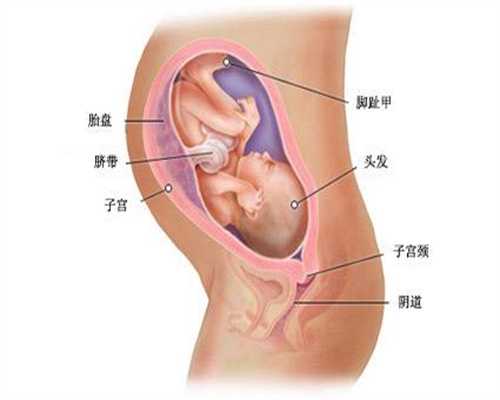 沈阳代孕供卵生子_沈阳代孕中心代孕妈妈_快速助孕方法和药_早期怀孕有什么症