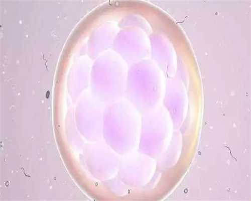 最靠谱的供卵试管机构_国内靠谱代孕机构