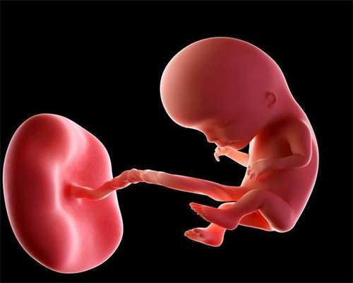 供胚移植试管婴儿_推荐的中国助孕机构