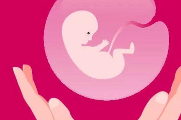 郴州姐妹47岁高龄试管婴儿唯一男胚一次移植成功！