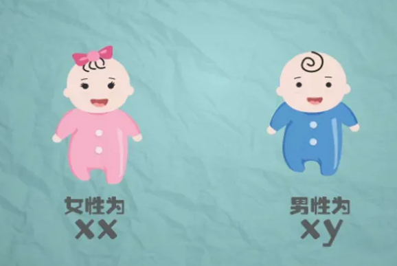 沈阳哪有代怀孕 2022影响沈阳附属盛京医院做三代供卵试管成功率的因素 ‘孕